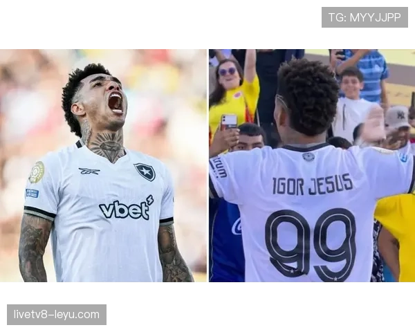 南美足球控球艺术闪耀2023赛季：传承与创新共舞