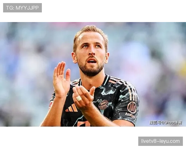 水晶宫防线升级，新赛季表现稳步提升