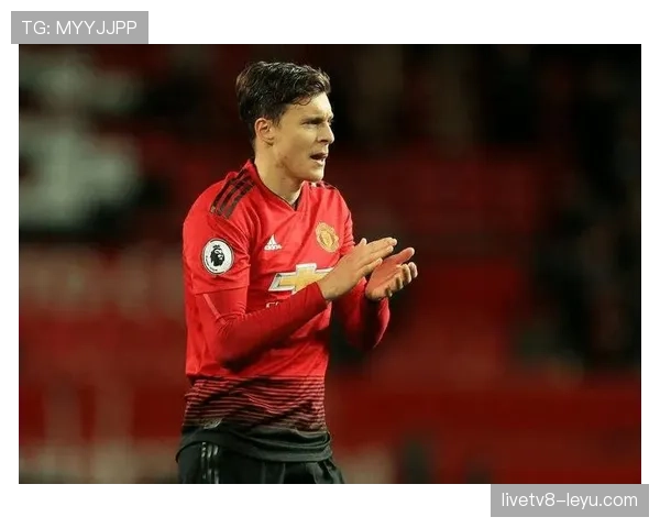 瑞典林德洛夫铁卫 瑞典林德洛夫铁卫